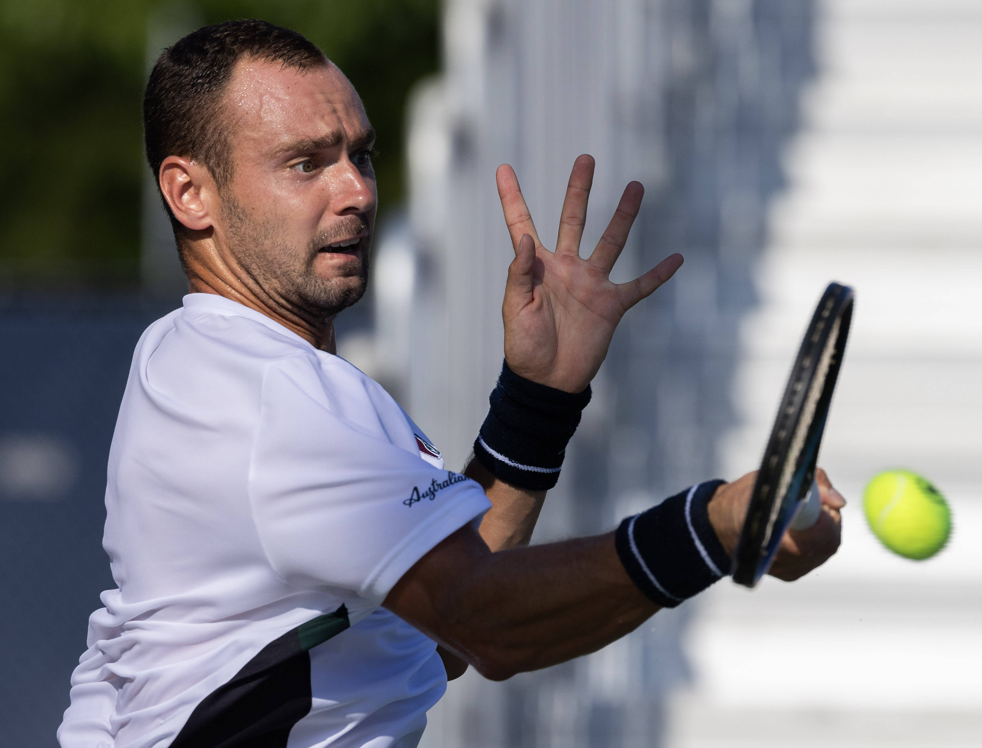 包含ATP总决赛逆转年终总决赛，鲁德状态火热的词条