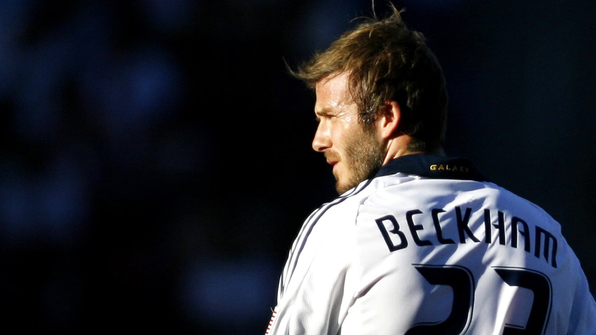 掌控命运之手，戈贝尔如何主导辽宁队对阵公牛的战术棋局